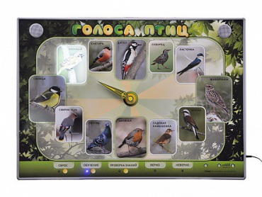 Электрифицированный стенд-часы "Голоса птиц" с комплектом дидактического материала - «globural.ru» - Серов