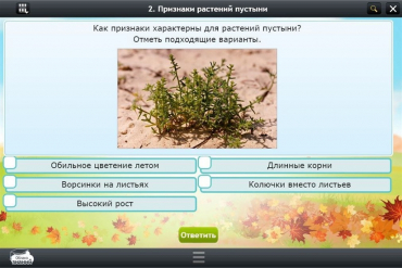 Интерактивные курсы. Окружающий мир 3 класс. Базовый - «globural.ru» - Серов