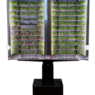 Вертикальная  ферма «Моя микрозелень» комплектация  «Театро настенная» - «globural.ru» - Серов