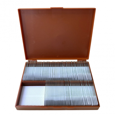 Комплект микропрепаратов по анатомии, ботанике, зоологии, общей биологии - «globural.ru» - Серов