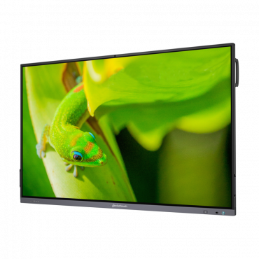 Интерактивный программно-аппаратный комплекс Geckotouch Interactive IP86GT-С  в комплекте с настенным креплением - «globural.ru» - Серов