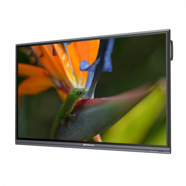 Интерактивный программно-аппаратный комплекс Geckotouch Interactive Pro IP75HT-E в комплекте с настенным креплением - «globural.ru» - Серов