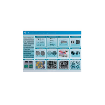 Стенд-планшет светодинамический «Изучение систематики и номенклатуры микроорганизмов» - «globural.ru» - Серов