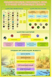 Стенд "Классификация животного мира" - «globural.ru» - Серов