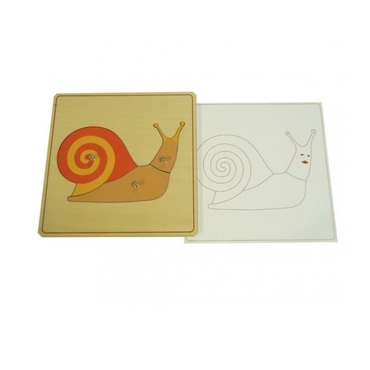 Строение улитки с контуром - «globural.ru» - Серов